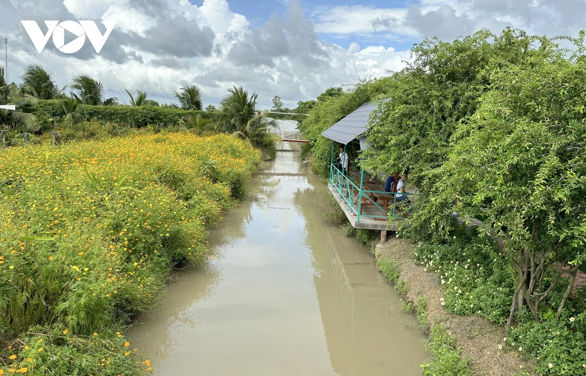 Từ nông nghiệp truyền thống đến nông nghiệp hiện đại, sinh thái